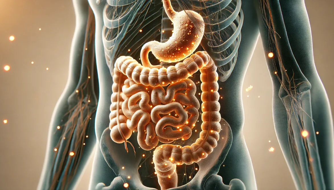 Gut Health