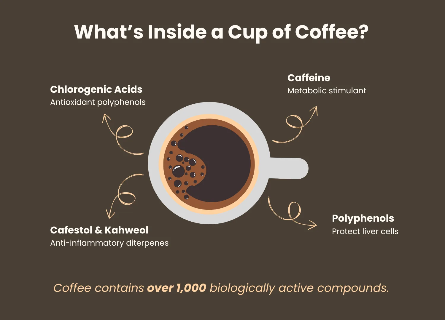 What’s Inside a Cup of Black Coffee?